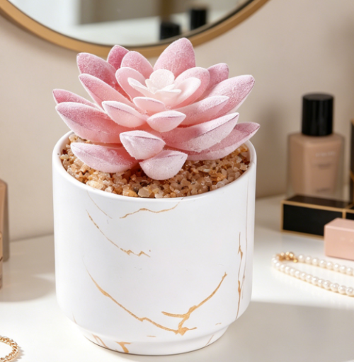 White Porcelain Artificial Succulents, Cute Desktop Color Scheme
