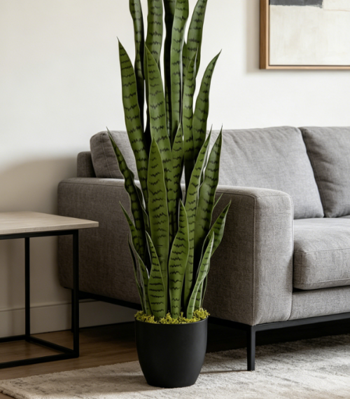 Faux Snake Plant, Front Porch & Patio Greenery